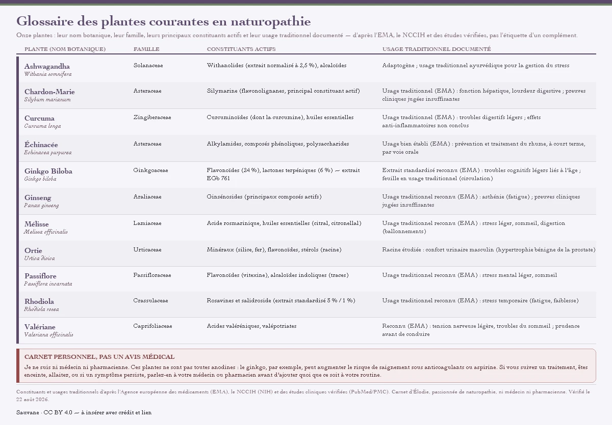 Glossaire visuel de onze plantes courantes en naturopathie avec, pour chacune, son nom botanique, sa famille, ses principaux constituants actifs et son usage traditionnel documenté d'après l'EMA, le NCCIH et des études vérifiées : ashwagandha, chardon-Marie, curcuma, échinacée, ginkgo biloba, ginseng, mélisse, ortie, passiflore, rhodiola et valériane ; c'est un carnet d'identification, pas un avis médical ni un guide de traitement.